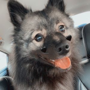 Meet your Posher, Ashlynn